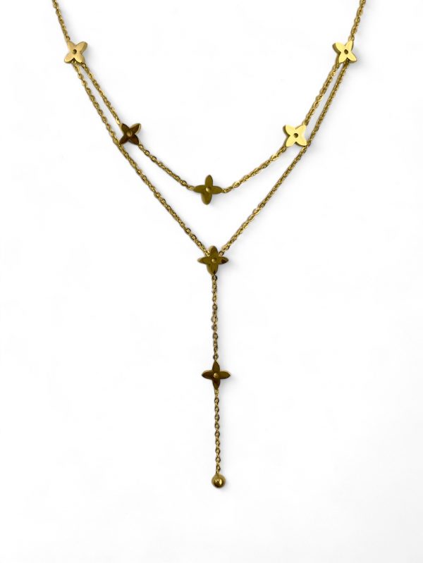 Cassiopée dorée